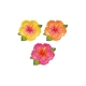 TALERZYKI PAPIEROWE "TROPIKALNE KWIATY - ALOHA" 26cm/22cm 1opak./6szt.