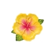 TALERZYKI PAPIEROWE "TROPIKALNE KWIATY - ALOHA" 26cm/22cm 1opak./6szt.