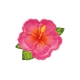 TALERZYKI PAPIEROWE "TROPIKALNE KWIATY - ALOHA" 26cm/22cm 1opak./6szt.