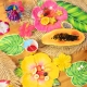 TALERZYKI PAPIEROWE "TROPIKALNE KWIATY - ALOHA" 26cm/22cm 1opak./6szt.