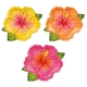 TALERZYKI PAPIEROWE "TROPIKALNE KWIATY - ALOHA" 26cm/22cm 1opak./6szt.