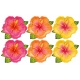TALERZYKI PAPIEROWE "TROPIKALNE KWIATY - ALOHA" 26cm/22cm 1opak./6szt.