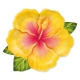 TALERZYKI PAPIEROWE "TROPIKALNE KWIATY - ALOHA" 26cm/22cm 1opak./6szt.