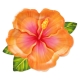 TALERZYKI PAPIEROWE "TROPIKALNE KWIATY - ALOHA" 26cm/22cm 1opak./6szt.