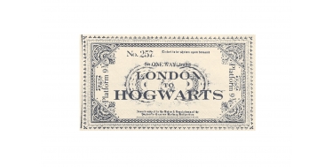 SERWETKI PAPIEROWE JEDNORAZOWE HARRY POTTER - BILET LONDON TO HOGWARTS" 1opak./20szt.