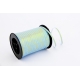 PP RIBBON WITH GOLDEN STRIPE 0,5cm/250yd